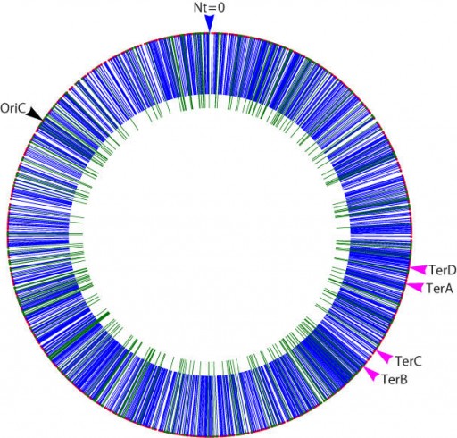 picture_DNA_mutation