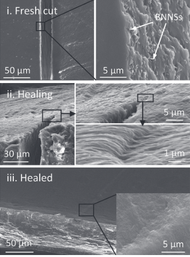 polymer nanocomposite healing process