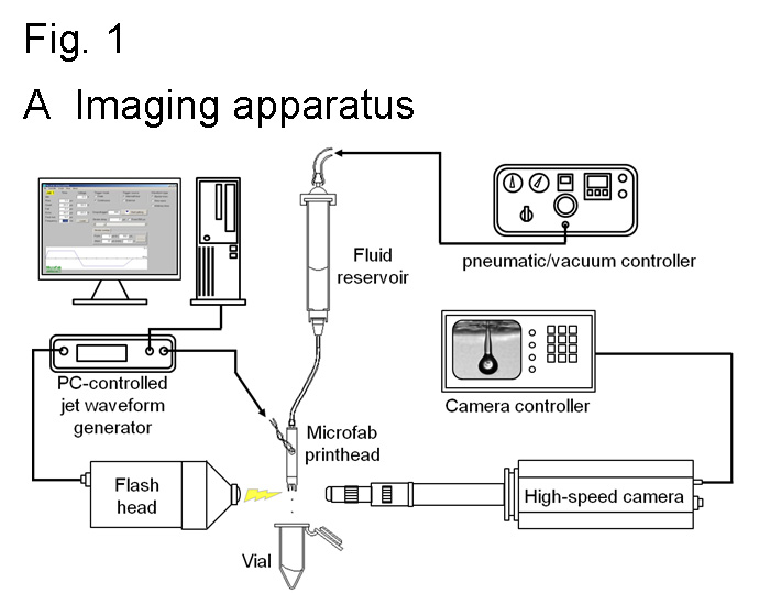 printed_eye_cells_imaging printed_eye_cells_imaging
