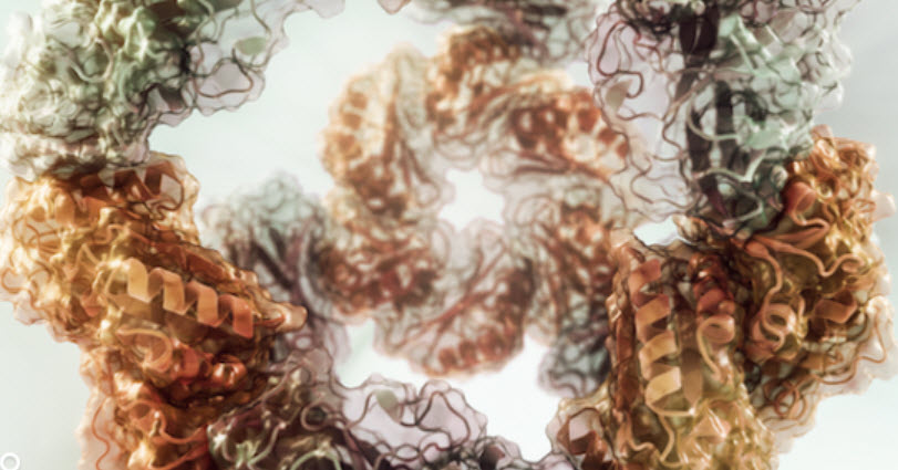 protein nanocage