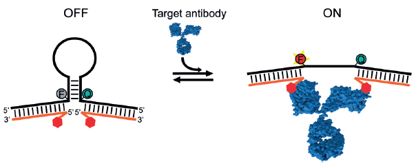 protein-targeting sensor