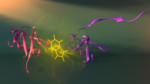 proteine_visualization_montreal