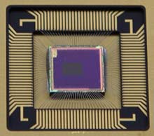 Quandot