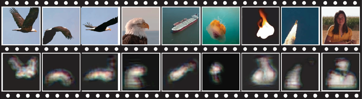 real-world vs FMRI-decoded images