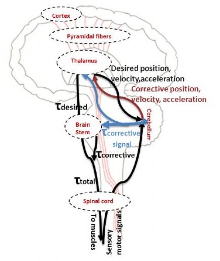 recurrent_forward_control_loops