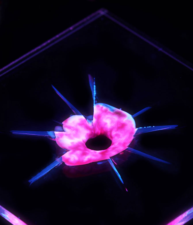 regenerating_plastic