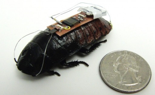 remote_control_cockroach