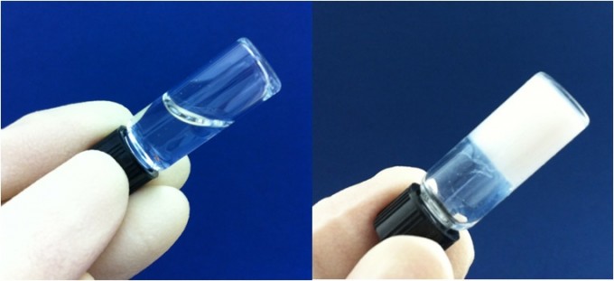 rice_liquid_gel_bone