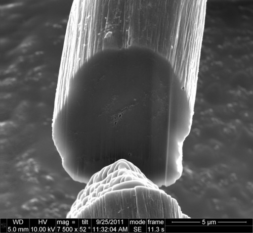 rice_nanotubes