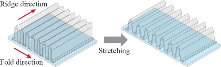 ridged transparent conductor