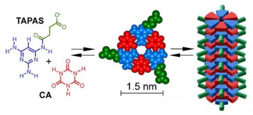 rna_lite_tapas
