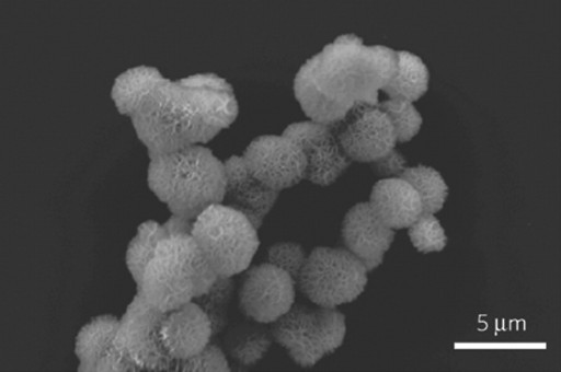 rna_nanoparticles_therapeutics