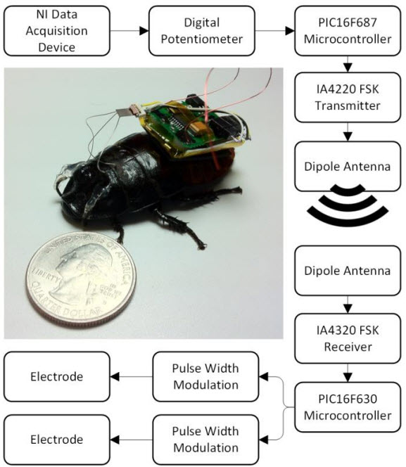 roach tracker