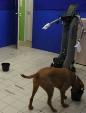 robot & dog