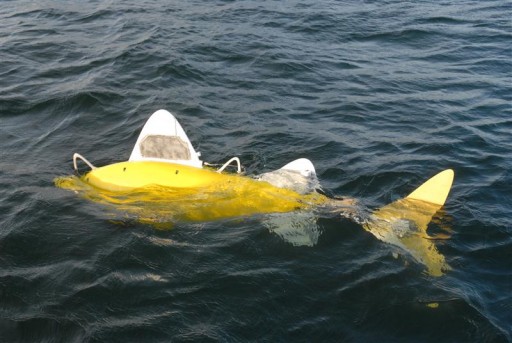 robot_fish