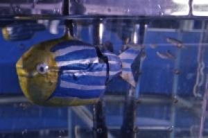 robotic_zebrafish