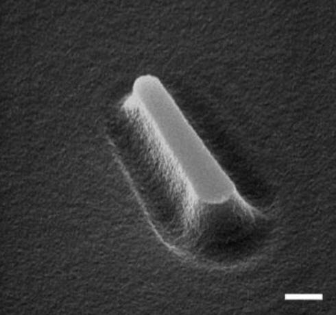rod-shaped nanorobot