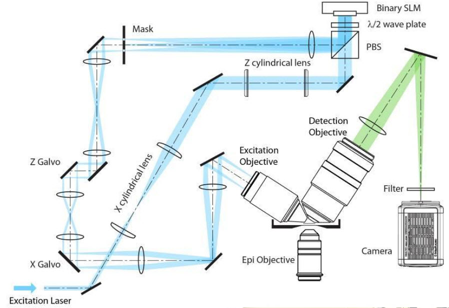schematic of lattice light sheet microscope