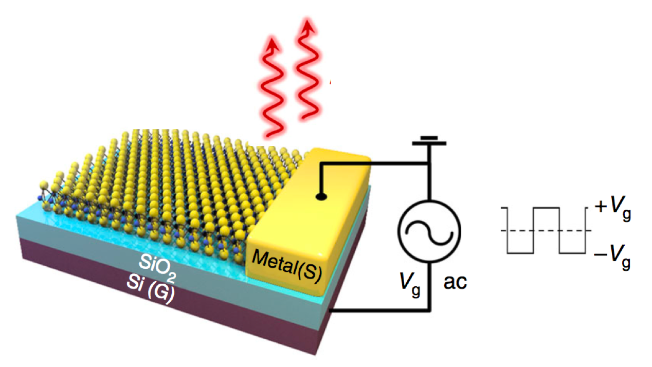schematic - transient-electroluminescent device