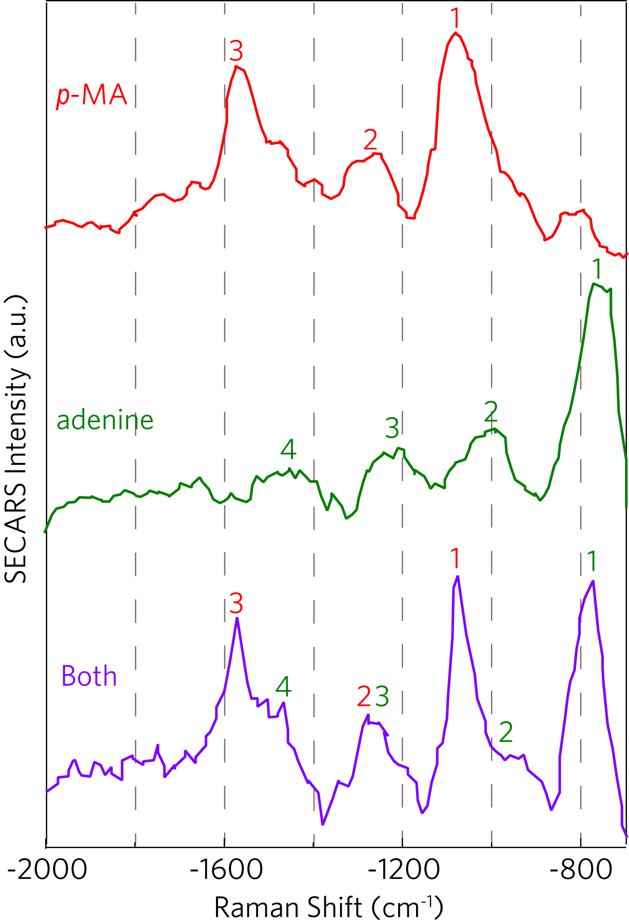 SECARS signals