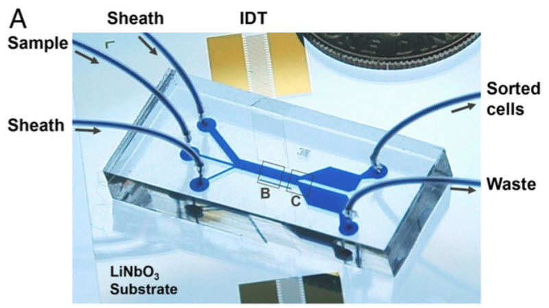 separating tumor cells