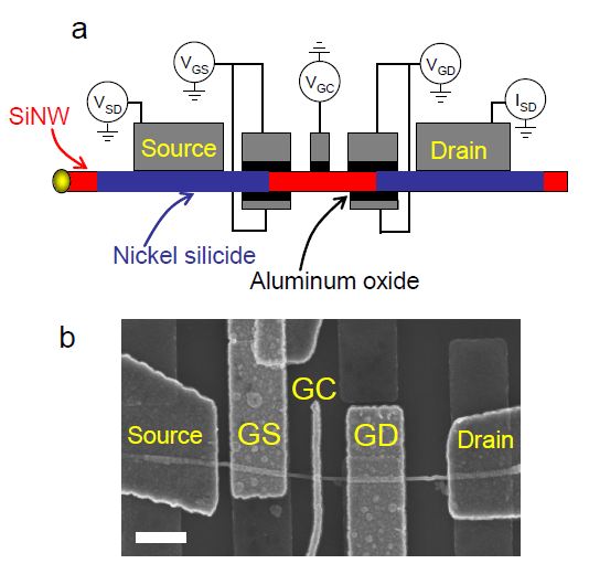 silicon_nanowire silicon_nanowire