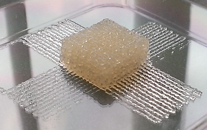 silk based 3D printer ink