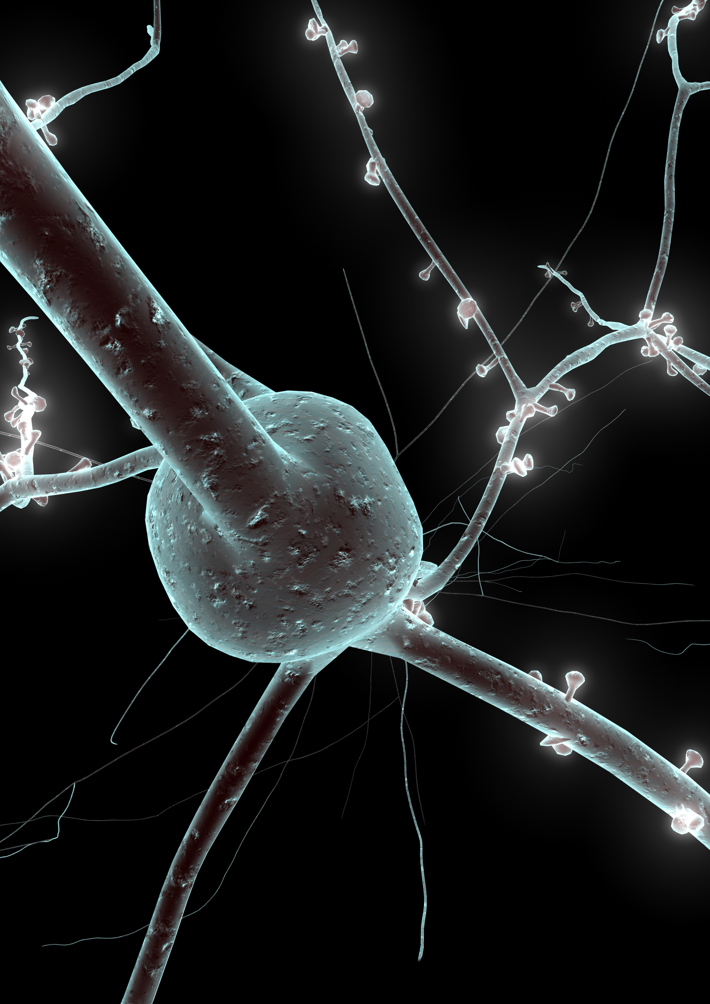 single_neuron_BlueBrain_web single_neuron_BlueBrain_web
