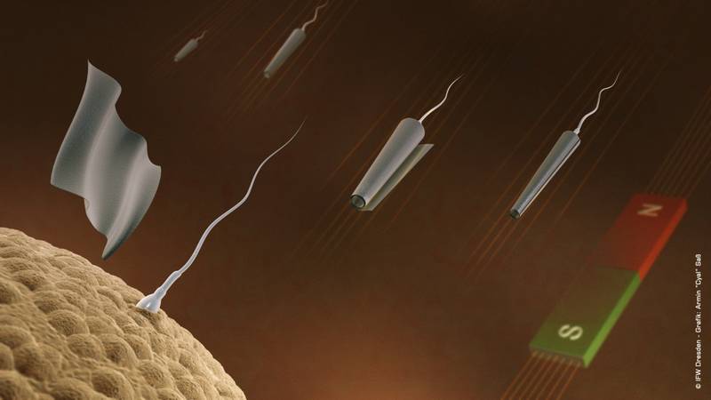 sperm_magnetic_control_1 sperm_magnetic_control_1