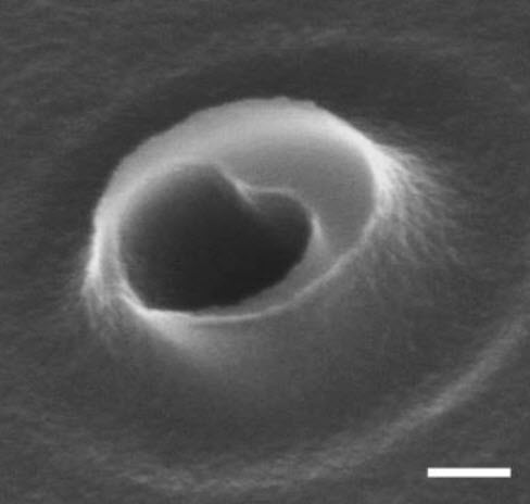 spherical nanorobot