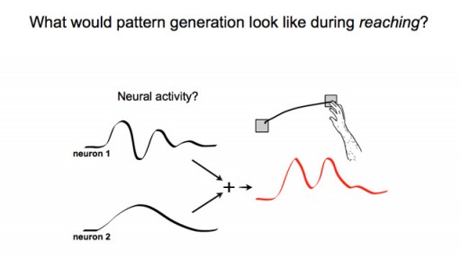 stanford_brain_rythms
