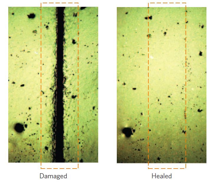 stanford_self_healing_material stanford_self_healing_material