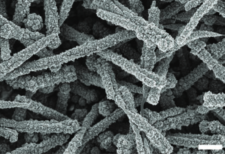 stretchable conductive nanowires
