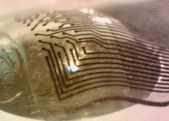 stretchable electrode grid on curved surface