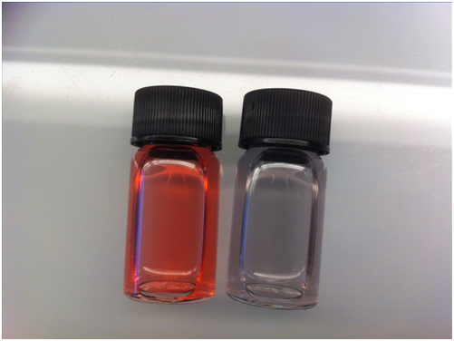 Simple test developed by Professor Stevens and her colleague