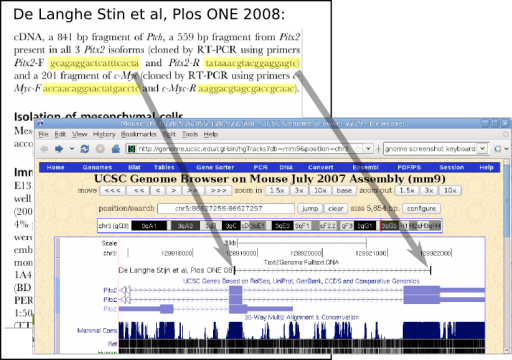 text2genome