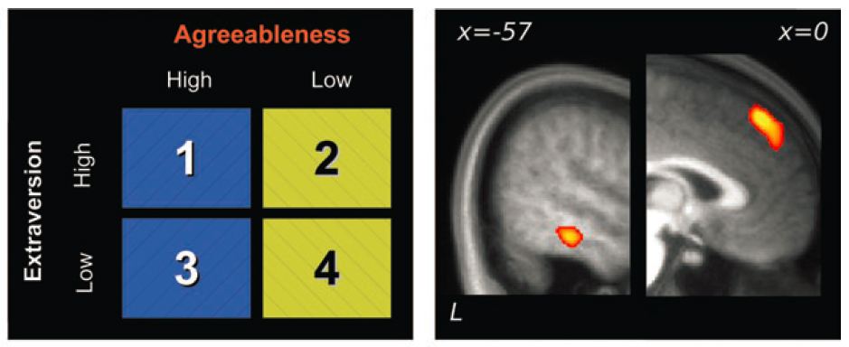 thoughts_fmri thoughts_fmri