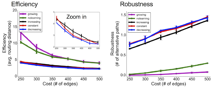 travel efficiency & robustness