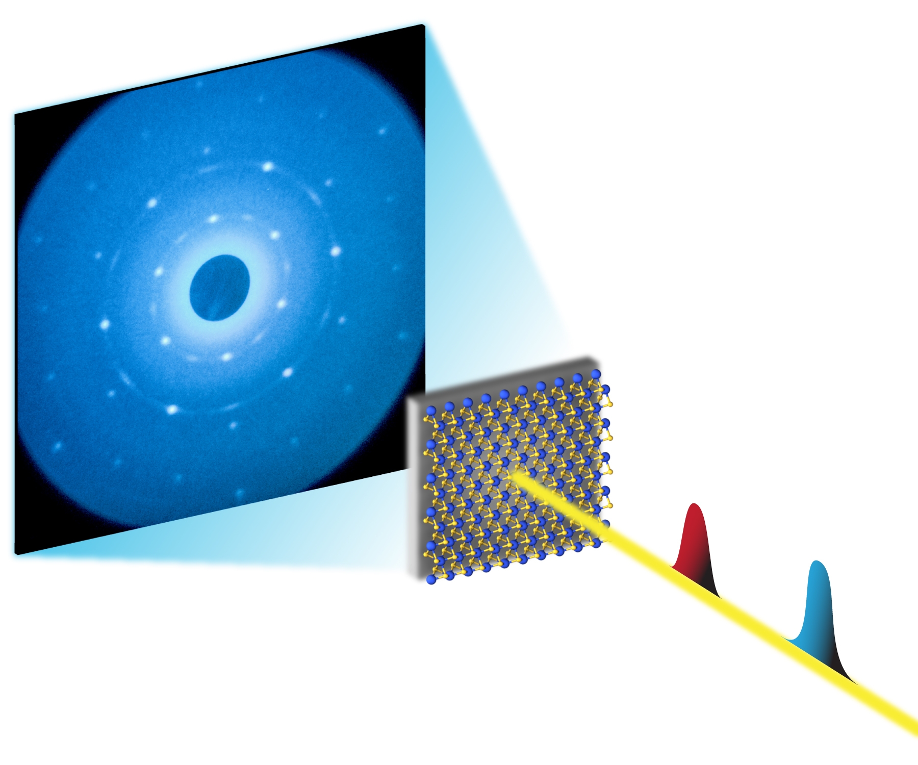 ultrafast atomic motions in a single layer of molybdenum disulfide