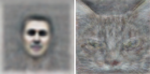 unsupervised_icml2012_cat_and_face