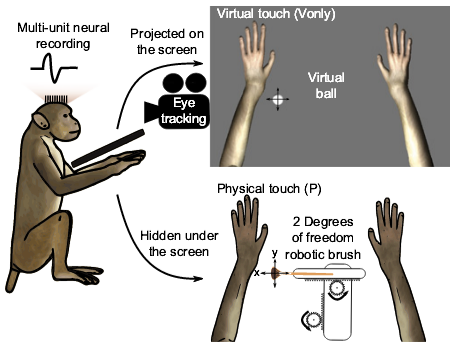 virtual touch
