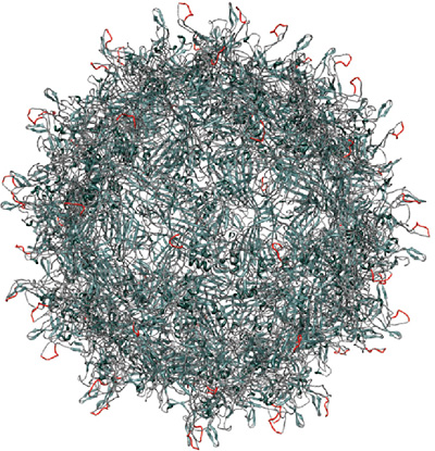 virus400