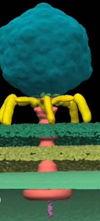 virus_injecting