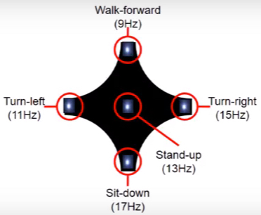 visual stimulus generation