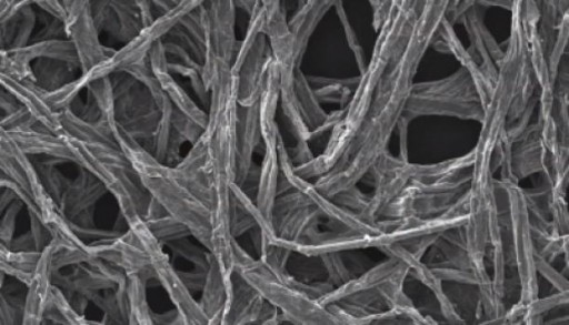 wood_fibers