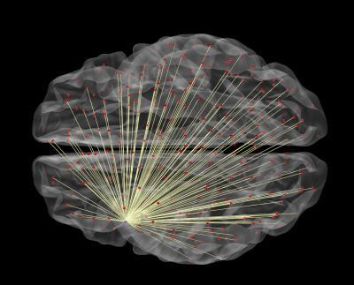 wustl_neural_connections wustl_neural_connections