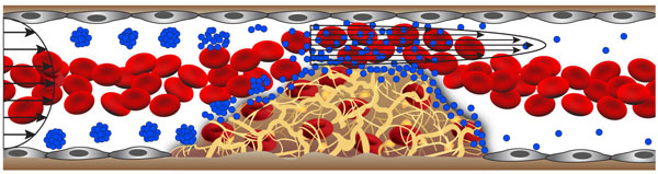 wyss_nanotherapeutic wyss_nanotherapeutic