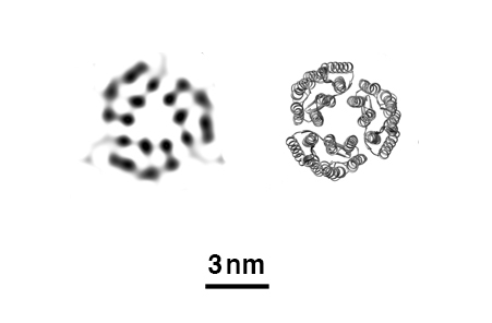 xfel_structure_protein xfel_structure_protein